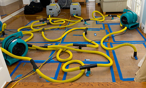 Professional Sewage Cleanup technician working in Hastings, MI